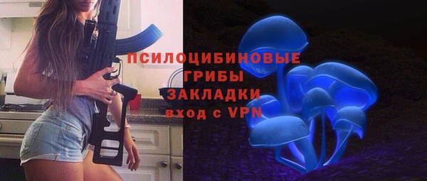 PSILOCYBIN Магадан