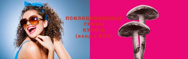 дмт Володарск