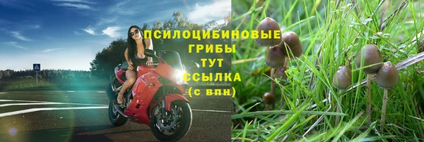 твердый Орск